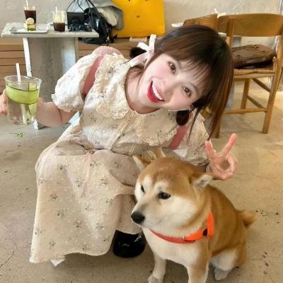 机器侠